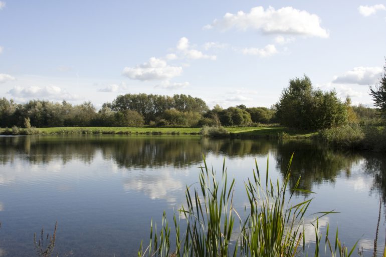 Haywards Farm Lake