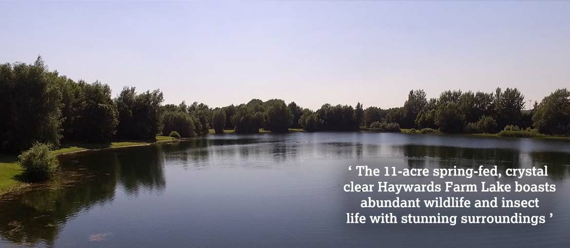 Haywards Farm Lake at the Sportfish Game Fishing Centre