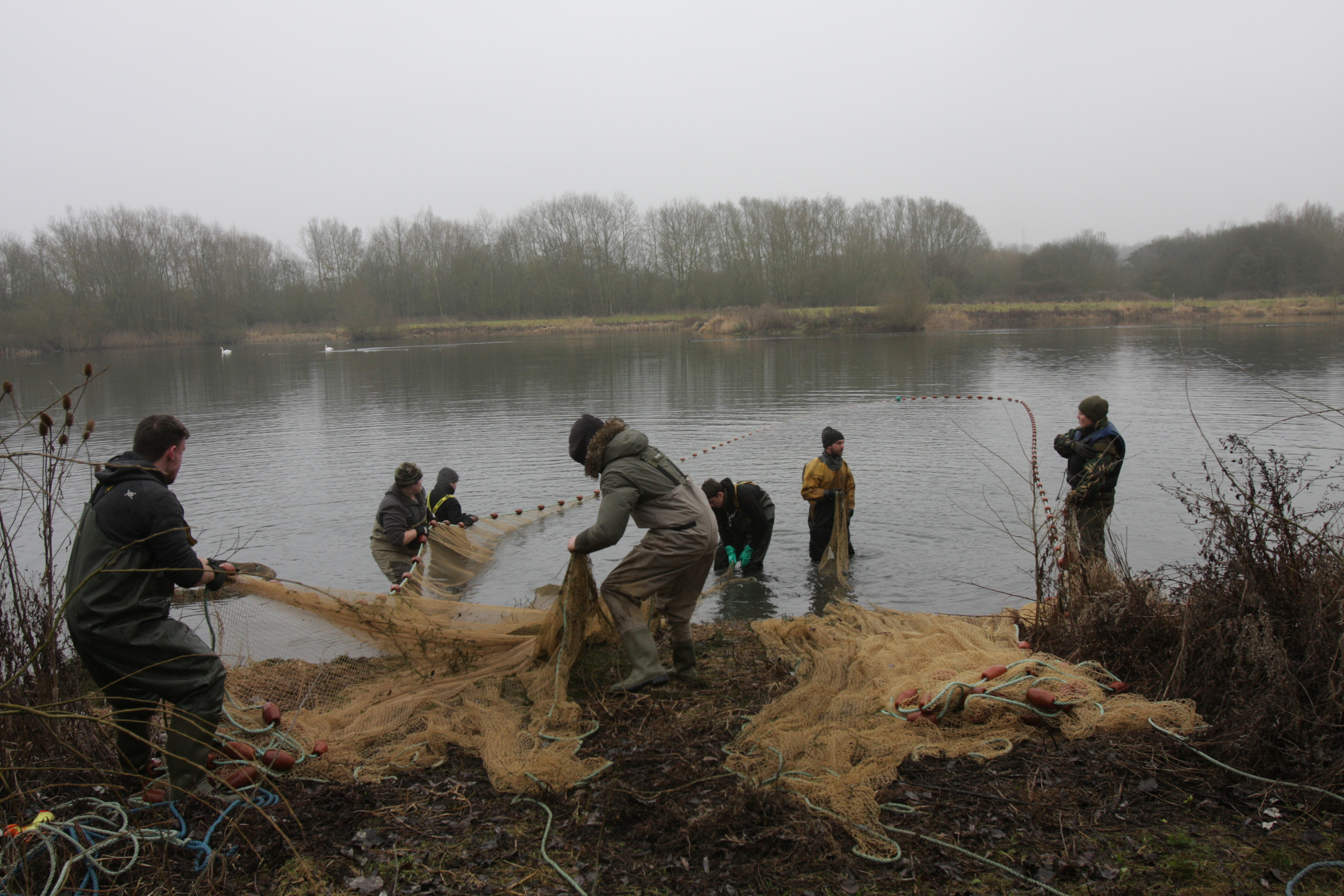 Lake Savage Netting Sportfish Game Fishing Centre Berkshire