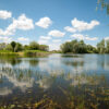Fishery Summer Closure